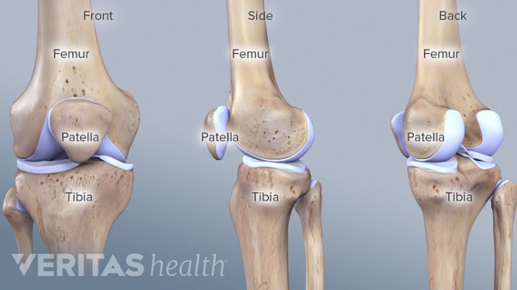 Veritas Health Knee photo