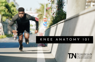 Knee Anatomy 101