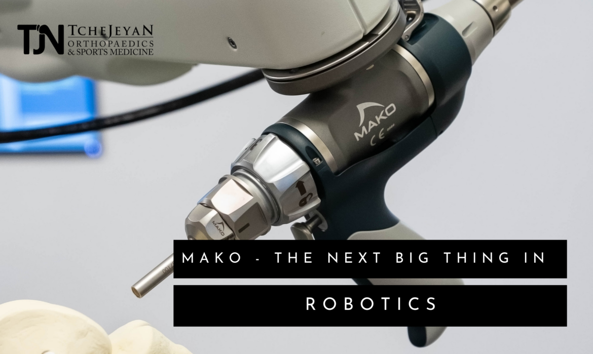 MAKO The Next Big Thing In Robotics