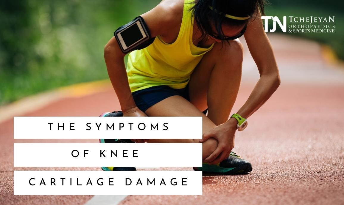 knee cartilage damage TJN