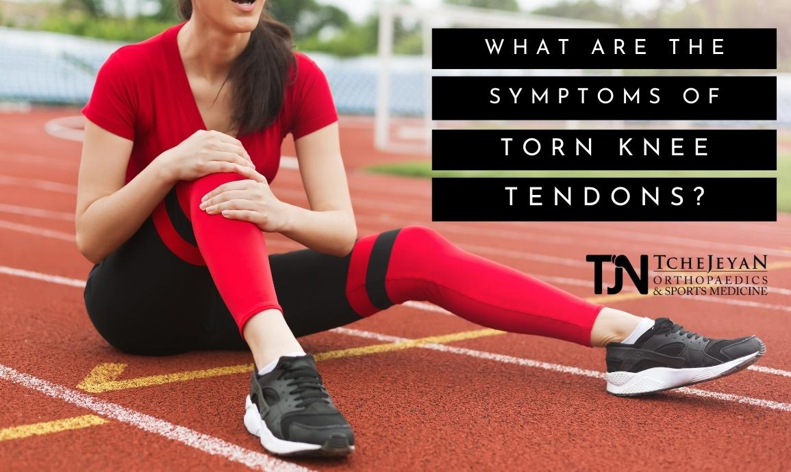 ATTACHMENT DETAILS What-are-the-symptoms-of-torn-knee-tendons