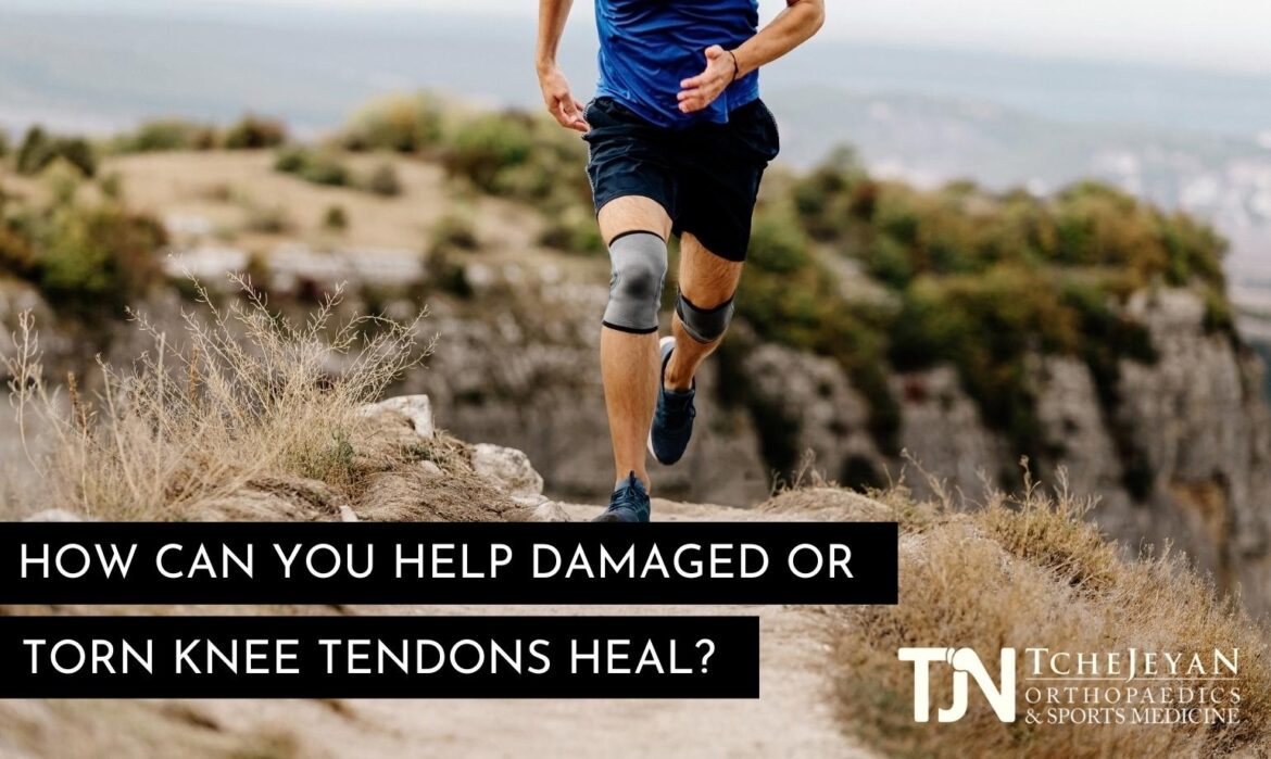 How Can You Help Damaged or Torn Knee Tendons Heal?