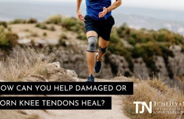 How Can You Help Damaged or Torn Knee Tendons Heal?